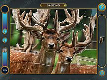 Mosaics Galore. Challenging journey