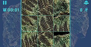 Puzzle Fossils