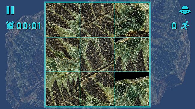 Puzzle Fossils