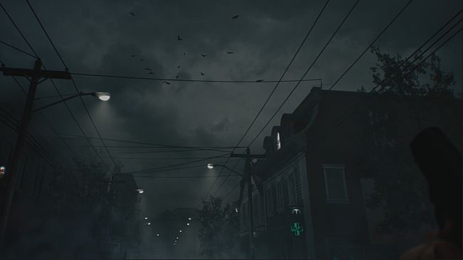 Project Night