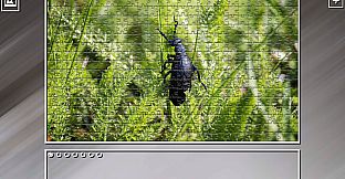 Super Jigsaw Puzzle: Generations - Bugs 2