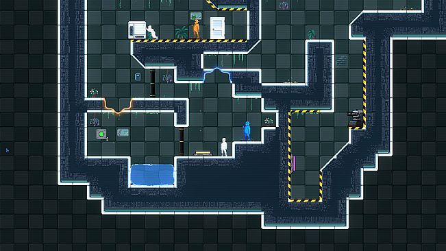 Link Loop