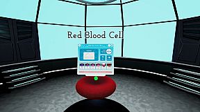 Looking Inside Cells