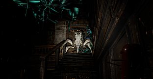 The Nest