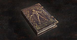 Dragon's Dogma 2: Art of Metamorphosis - Character Editor