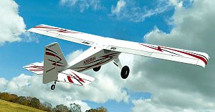 RealFlight Evolution - E-flite Timber 10-year Anniversary Edition 1.5m