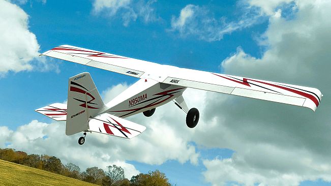 RealFlight Evolution - E-flite Timber 10-year Anniversary Edition 1.5m