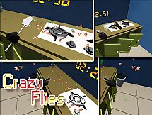 Crazy Flies