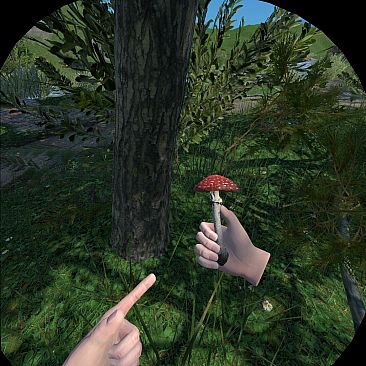 Just A Walk In The Park