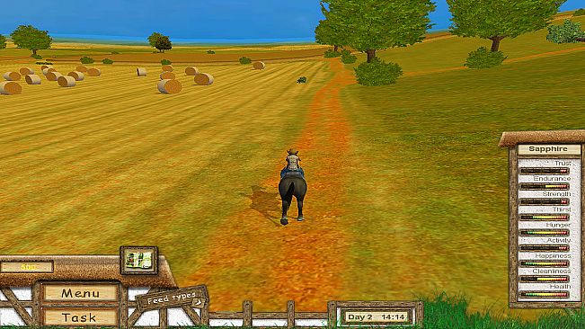 My Riding Stables: Your Horse world