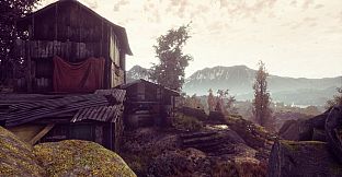 The Dead Tree of Ranchiuna