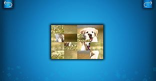 PUZZLE: CATS & DOGS - Puzzle Pack: Summer Dogs