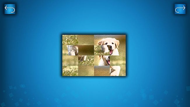 PUZZLE: CATS & DOGS - Puzzle Pack: Summer Dogs
