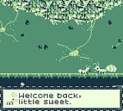 LesbiAnts - Our New Morphology