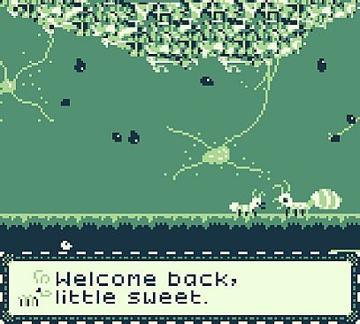 LesbiAnts - Our New Morphology