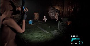 DeMon Researcher 2