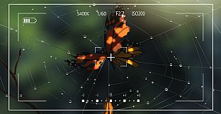 Lay a Beauty to Rest: A Butterfly Dream