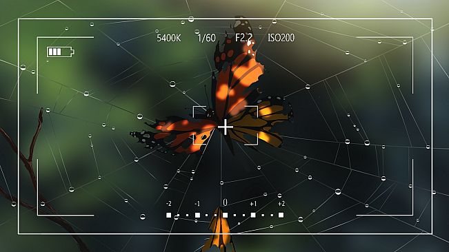 Lay a Beauty to Rest: A Butterfly Dream