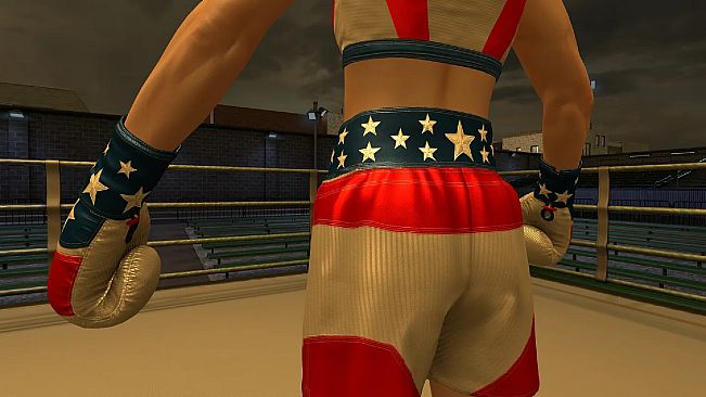The Thrill Of The Fight 2 - 4th of July Gloves