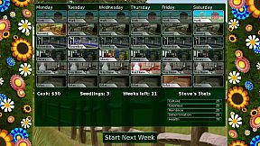 Flower Shop: Summer In Fairbrook