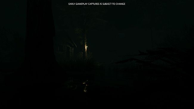 Eclipse Anomaly Research - Swamp of Insanity