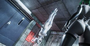 Widow in the Endless Labyrinth R-18