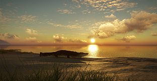 theHunter: Call of the Wild - Emerald Coast Australia - Windows 10