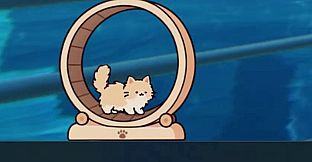 Your Cat - Cat exercise wheel