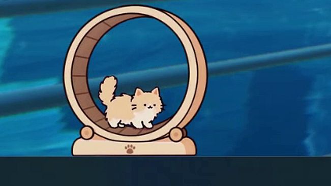 Your Cat - Cat exercise wheel