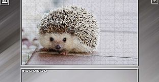 Super Jigsaw Puzzle: Generations - Random Animals Puzzles