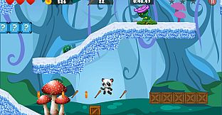 The Incredible Adventures of Super Panda