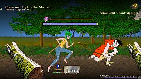 Fantasy Waifu Collector