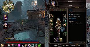 Divinity: Original Sin 2 - Divine Edition