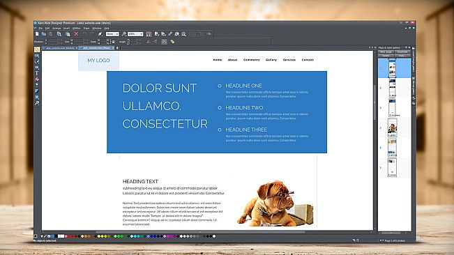 Web Designer 12 Premium Steam Edition