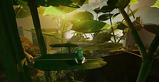 Planet Frog