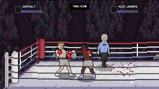 Bruisers 2D Boxing