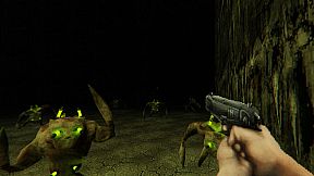 Dismantled Director's Cut