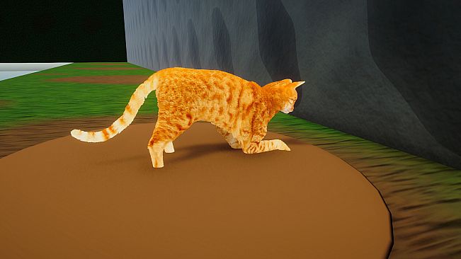 CatMischief