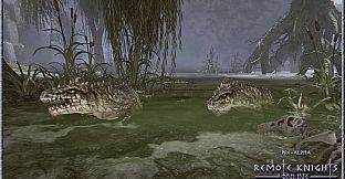 Remote Knights Online