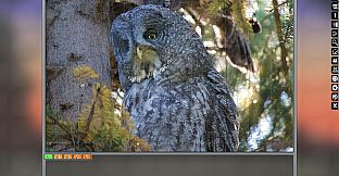 Jigsaw Puzzle Pack - Pixel Puzzles Ultimate: Owls