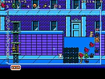 Virus Jigglin' Fever