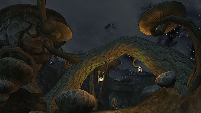 The Elder Scrolls III: Morrowind Game of the Year Edition (PC)