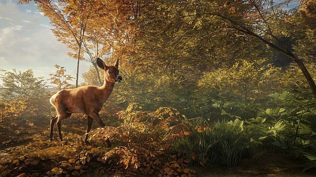 theHunter: Call of the Wild