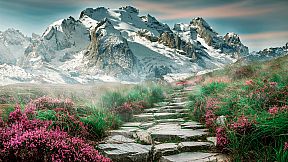 Jigsaw Pieces 2 - Shades of Mood