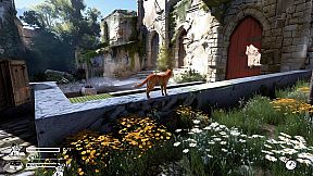 LITTLE CAT TINY STRAYS