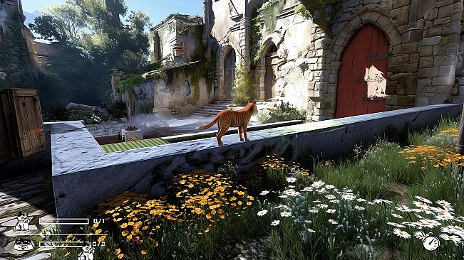 LITTLE CAT TINY STRAYS