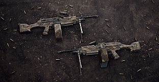 Insurgency: Sandstorm - Endurance Weapon Skin Set
