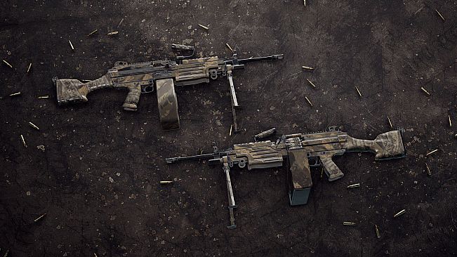 Insurgency: Sandstorm - Endurance Weapon Skin Set