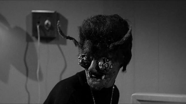 ROUGH KUTS: The Wasp Woman