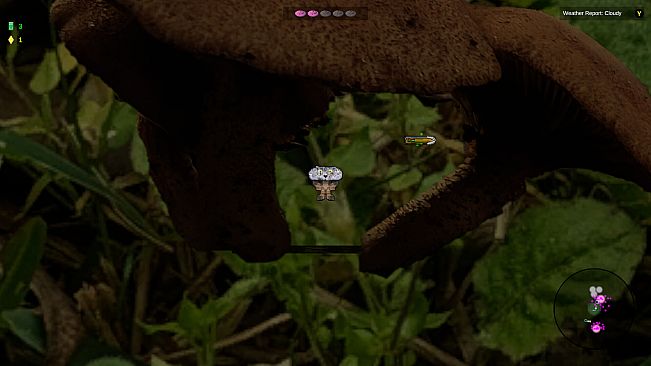 Shroomocracy! And The Wand Of Ages